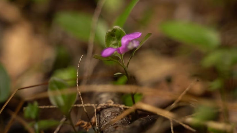 The Future Forward: Collaboration in Land Stewardship